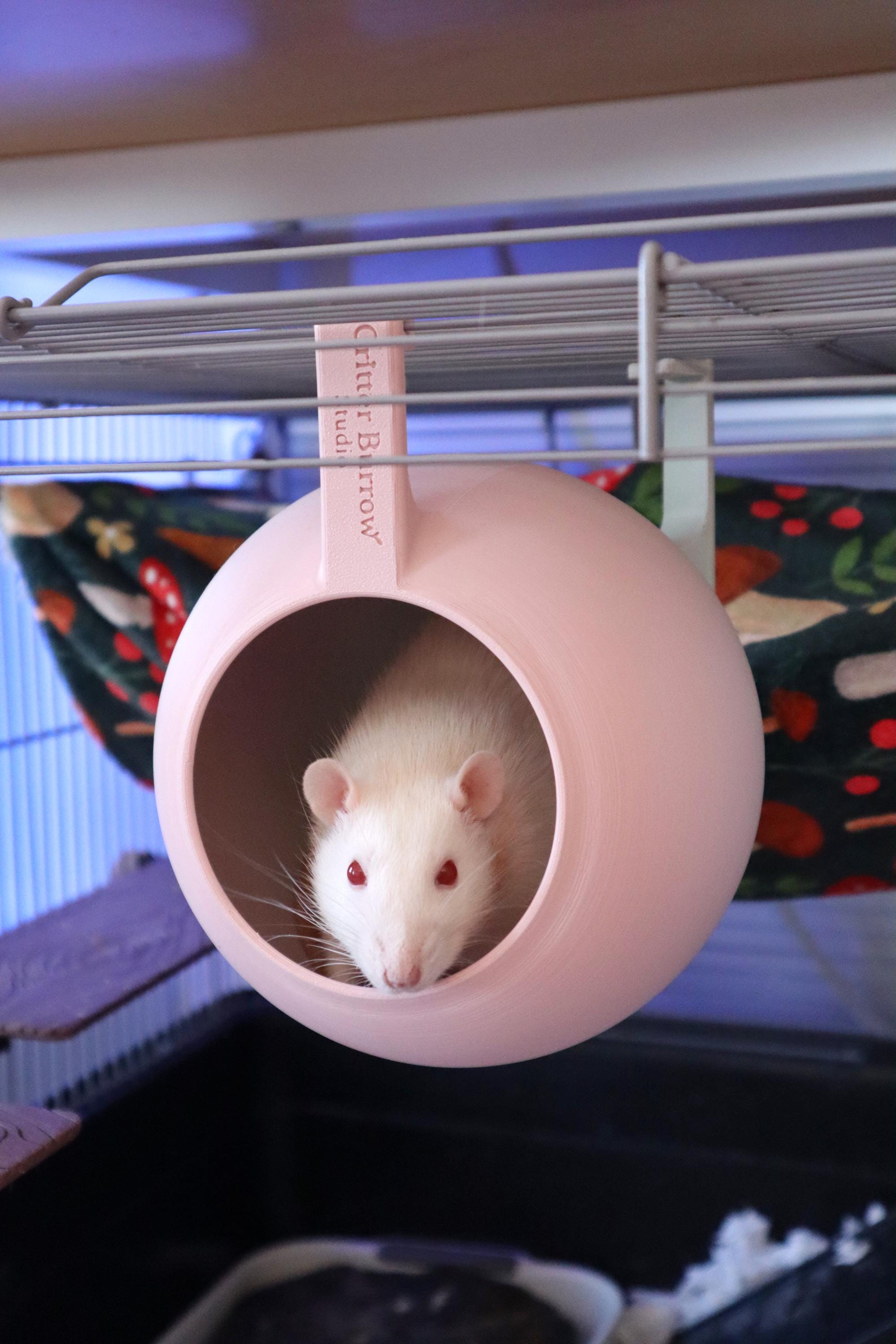 Sputnik – Hanging Rat House – Two‑tone Gradient Color Hideout for Rats ...