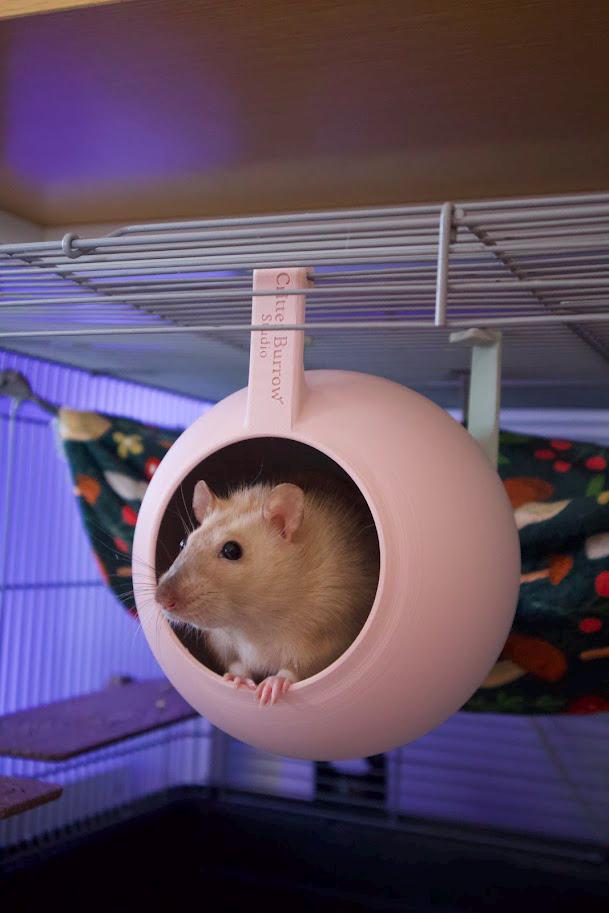 Sputnik – Hanging Rat House – Two‑tone Gradient Color Hideout for Rats ...