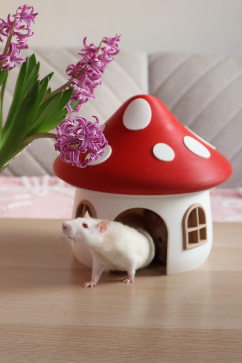 Mushroom House for Rats – Cozy Small Pet Hideout - Etsy