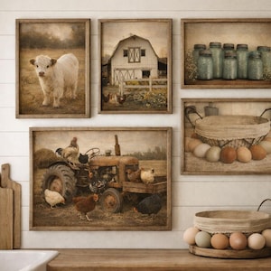 Puede incluir: Una colección de grabados artísticos rústicos enmarcados con temática de granja. Los grabados representan un ternero blanco, un granero, tarros, un tractor con gallinas y una cesta de huevos. La obra de arte se exhibe en una pared de tablillas blancas.