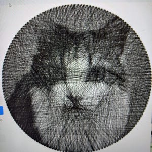 Könnte beinhalten: Ein kreisförmiges Kunstwerk mit dem Gesicht einer Katze, das mit schwarzem Faden erstellt wurde. Der Faden ist kunstvoll gewebt, um die Gesichtszüge der Katze zu formen, einschließlich Augen, Nase und Schnurrhaare. Das Kunstwerk ist vor einem weißen Hintergrund platziert, der die detaillierte Fadenarbeit hervorhebt.