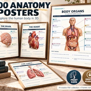 Può includere: Una collezione di poster anatomici educativi con illustrazioni dettagliate del cervello umano, cuore, polmoni e organi. Ogni poster include parti etichettate, funzioni e testo descrittivo che spiega il funzionamento di questi sistemi.