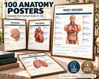 100 Human Anatomy Posters: Labeled 3D Illustrations, Printable PDF Bundle in 3 Sizes