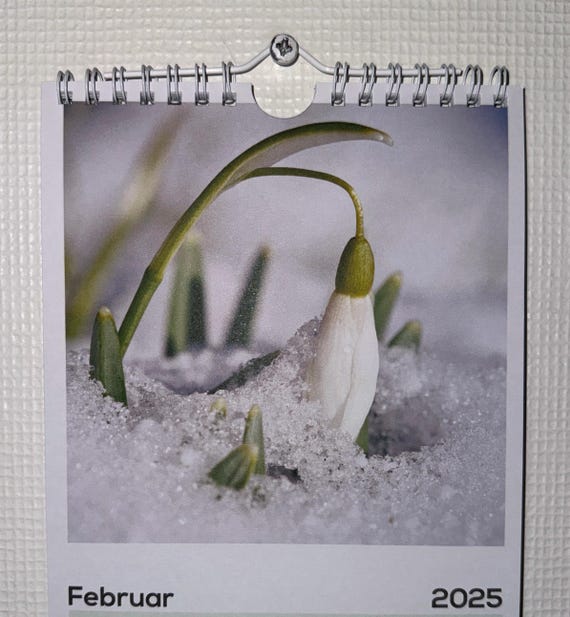 スノードロップの新作 - スノードロップ刺繍コレクション - 13種類の