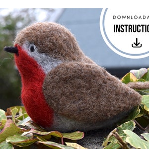 Downloadable Needle Felting Instructions – Robin