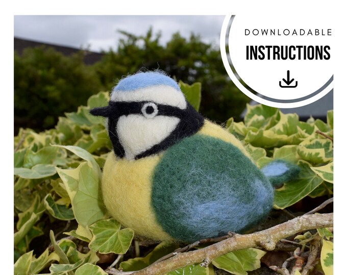 Downloadable Needle Felting Instructions – Blue Tit
