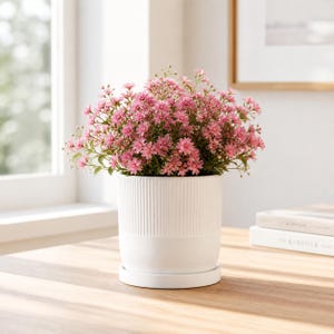 Puede incluir: Una maceta de cerámica blanca con un diseño acanalado, que contiene un grupo de flores rosas. La maceta se encuentra sobre un platillo a juego, colocado sobre una superficie de madera cerca de una ventana. Las flores tienen pétalos pequeños y delicados.