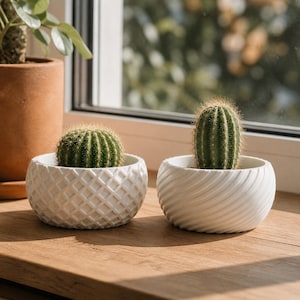 Puede incluir: Dos pequeños cactus verdes en macetas decorativas blancas. Una maceta tiene un diseño de diamantes, la otra un diseño en espiral. Las macetas están sobre una superficie de madera cerca de una ventana.