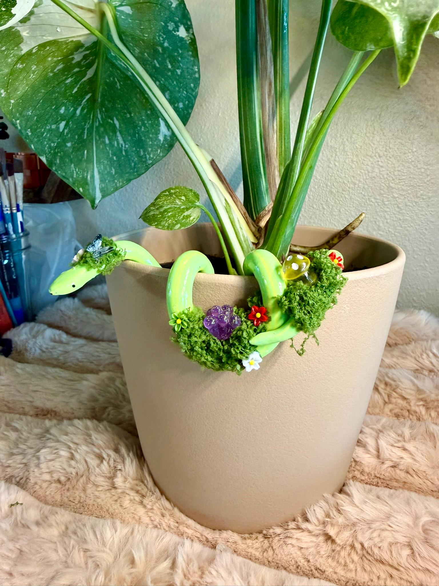 aglaonema air purifying indoor plants Snowflake Aglaonema- Air-Purifying Indoor Plant – Kaynuna.co