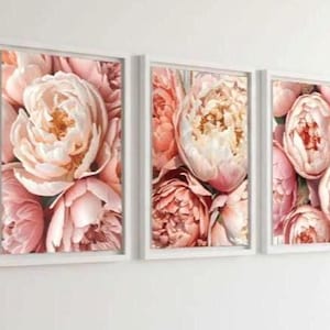 Könnte beinhalten: Drei gerahmte Kunstdrucke mit Nahaufnahmen von Pfingstrosen in Rosa-, Pfirsich- und Cremetönen. Die Blüten sind in voller Blüte, mit detaillierten Blütenblättern und einer weichen, romantischen Ästhetik. Die Rahmen sind weiß.