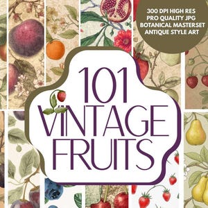 Könnte beinhalten: Eine Collage von Vintage-Fruchtillustrationen, darunter Äpfel, Orangen, Birnen und Erdbeeren. Das Bild enthält den Text "101 VINTAGE FRUITS" und "300 DPI HIGH RES PRO QUALITY JPG BOTANICAL MASTERSET ANTIQUE STYLE ART". Das Kunstwerk hat ein botanisches Thema.