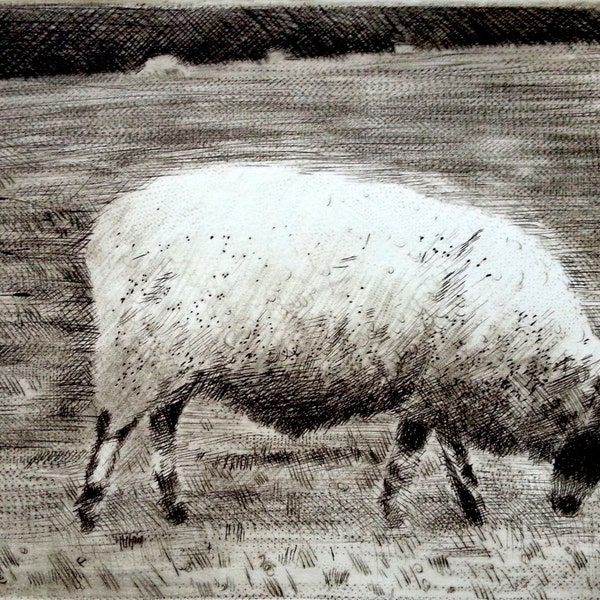 Sheep on the South Downs, Drypoint/Engraving