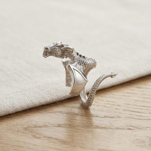 May include: A silver dragon ring with intricate detailing. The dragon's head is at the top, with its body wrapping around the finger. The tail extends out, creating a unique and fantasy-inspired accessory.