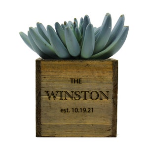 May include: A wooden planter box with the text "THE WINSTON est. 10.19.21" engraved on the front. The planter is filled with a light blue succulent plant.