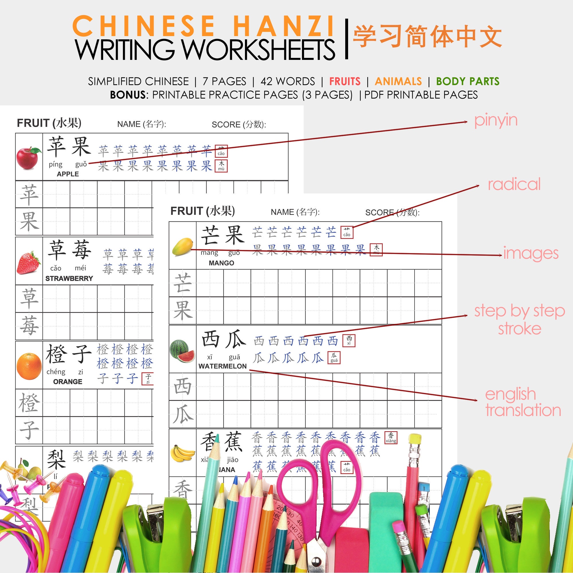 Chinese Hanzi Practice Worksheet With Complete Pinyin Step by Step ...