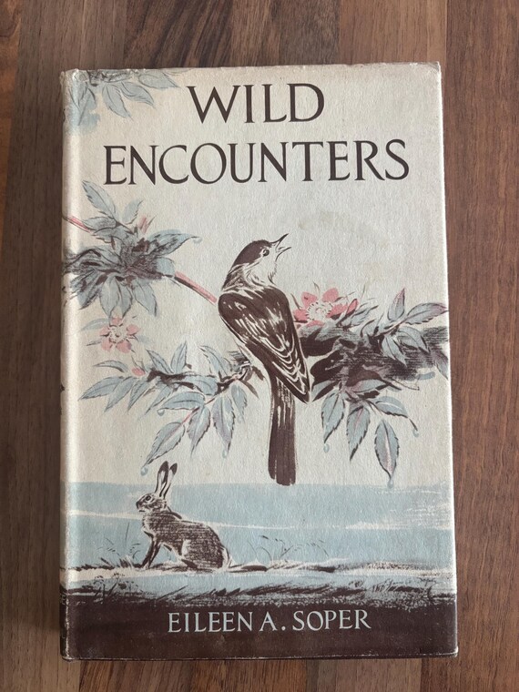 1957 First Edition Wild Encounters by Eileen A. Soper | Illustrated British Natural History | Hardback with Original Unclipped Dust Jacket