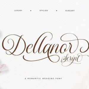 Op de afbeelding: Een digitale afbeelding met de donkerbruine tekst Dellanor Script in een vloeiend cursief lettertype. Boven de tekst staan de woorden LUXURY + STYLISH + ELEGANT. Daaronder staat de tekst A ROMANTIC WEDDING FONT. Links zijn lichtroze cosmosbloemen zichtbaar.
