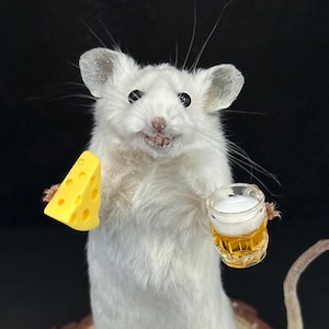 Berusad taxidermimus med öl – Rolig konstig present – Mörk humoristisk djurkonst – Kuriositeter och udda saker dekoration