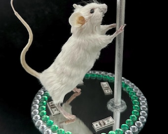 Taxidermy Stripper Mouse, Gothic Oddities, Weird Taxidermy, Dark Humor Gift, Alternative Home Decor, Creepy Cute Art, Strange Gift
