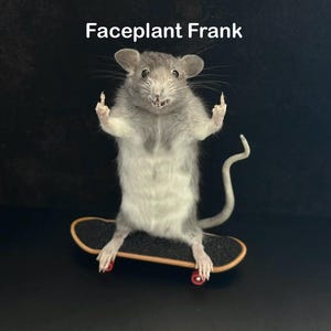 May include: A taxidermied rat stands on a miniature skateboard, with its front paws raised and middle fingers extended. The rat is gray and white, with the text "Faceplant Frank" above it against a black background.