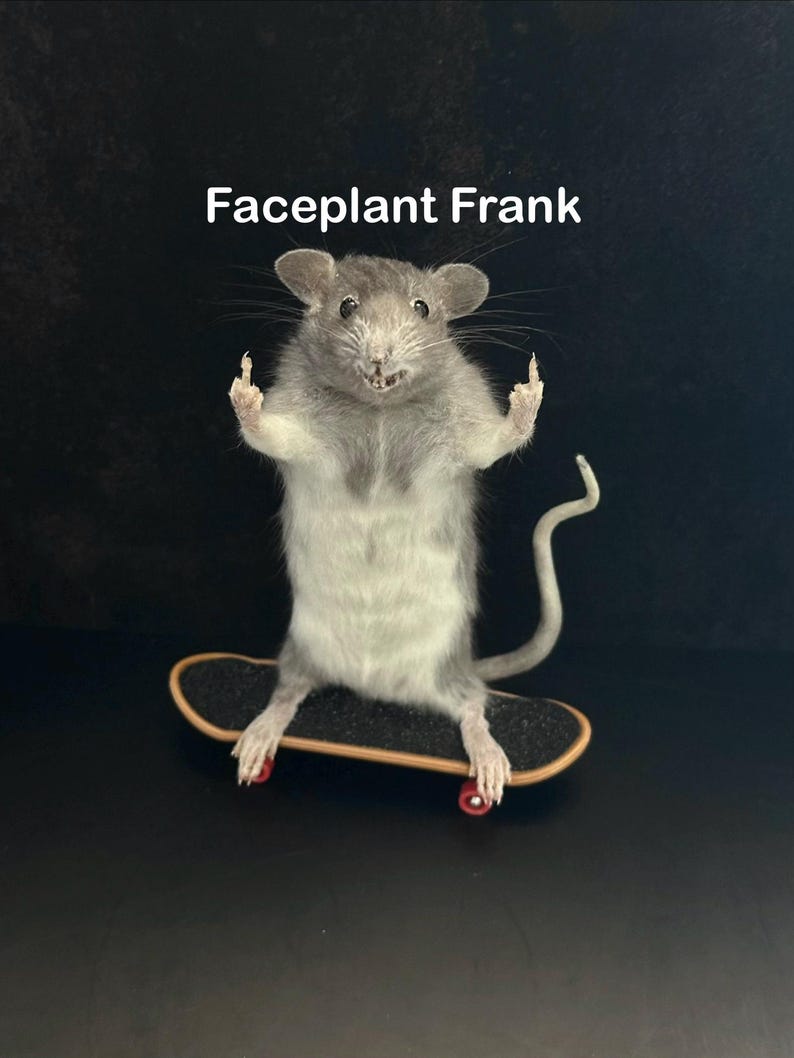 May include: A taxidermied rat stands on a miniature skateboard, with its front paws raised and middle fingers extended. The rat is gray and white, with the text "Faceplant Frank" above it against a black background.