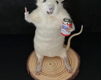 Taxidermy Drunk Rat Middle Finger Beer | Funny Offensive Oddity Gift | Dark Humor Decor | Vulture Culture Weird Art