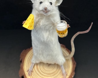 Drunk Taxidermy Mouse with Beer – Funny Weird Gift – Dark Humour Animal Art – Oddities & Curiosities Decor
