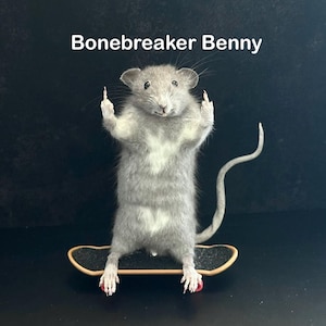 May include: A gray rat stands on a miniature skateboard, with its front paws raised. The rat has a white patch on its chest and pink claws. The text "Bonebreaker Benny" is above the rat.