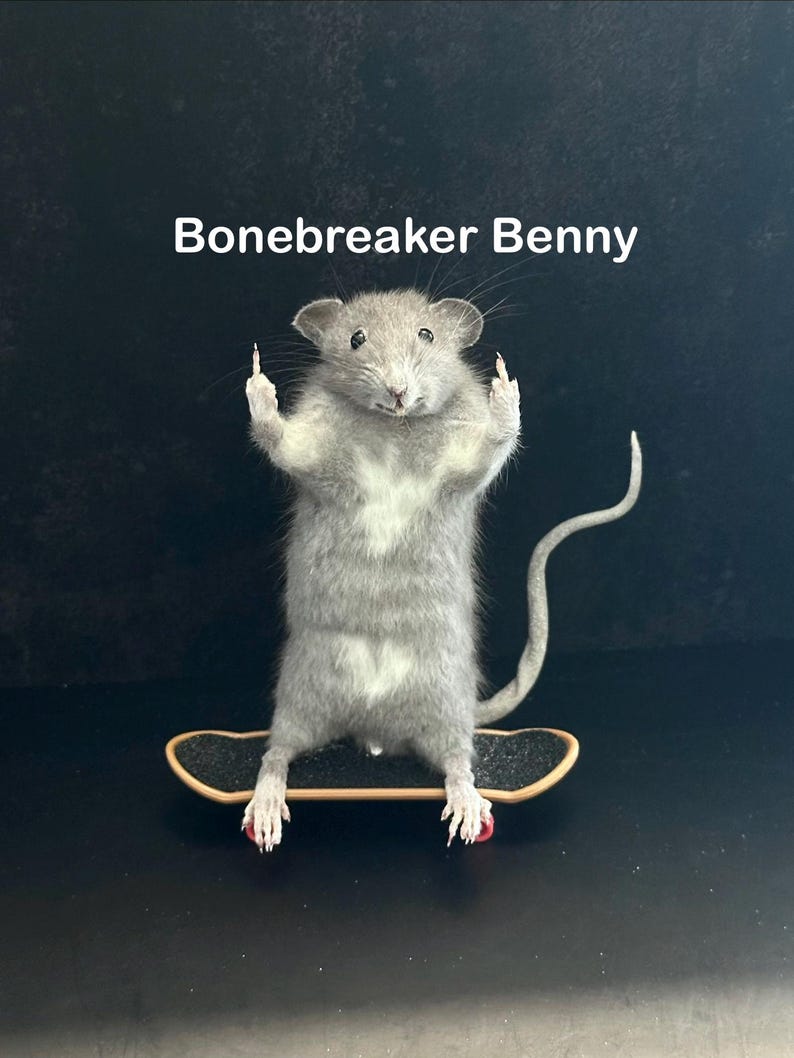 May include: A gray rat stands on a miniature skateboard, with its front paws raised. The rat has a white patch on its chest and pink claws. The text "Bonebreaker Benny" is above the rat.