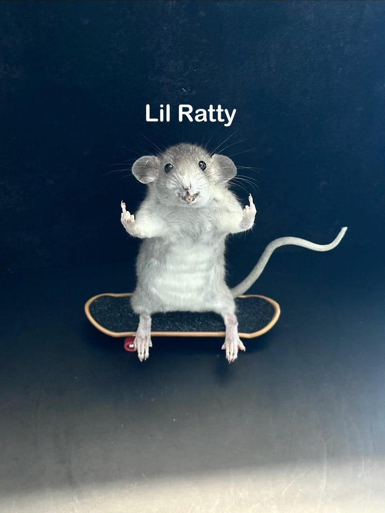 May include: A gray rat with its paws up, riding a miniature skateboard. The text "Lil Ratty" is above the rat. The skateboard has a black deck and red wheels. The background is a dark color.