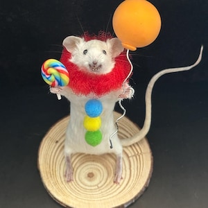 Topolino di compleanno imbalsamato / Topolino stravagante con palloncino e lecca-lecca / Regalo di compleanno originale / Decorazione bizzarra e carina / Oggetto da collezione unico