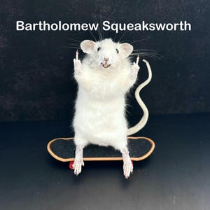 May include: A white rat stands on a miniature skateboard, with its front paws raised and middle fingers extended. The text "Bartholomew Squeaksworth" is above the rat.