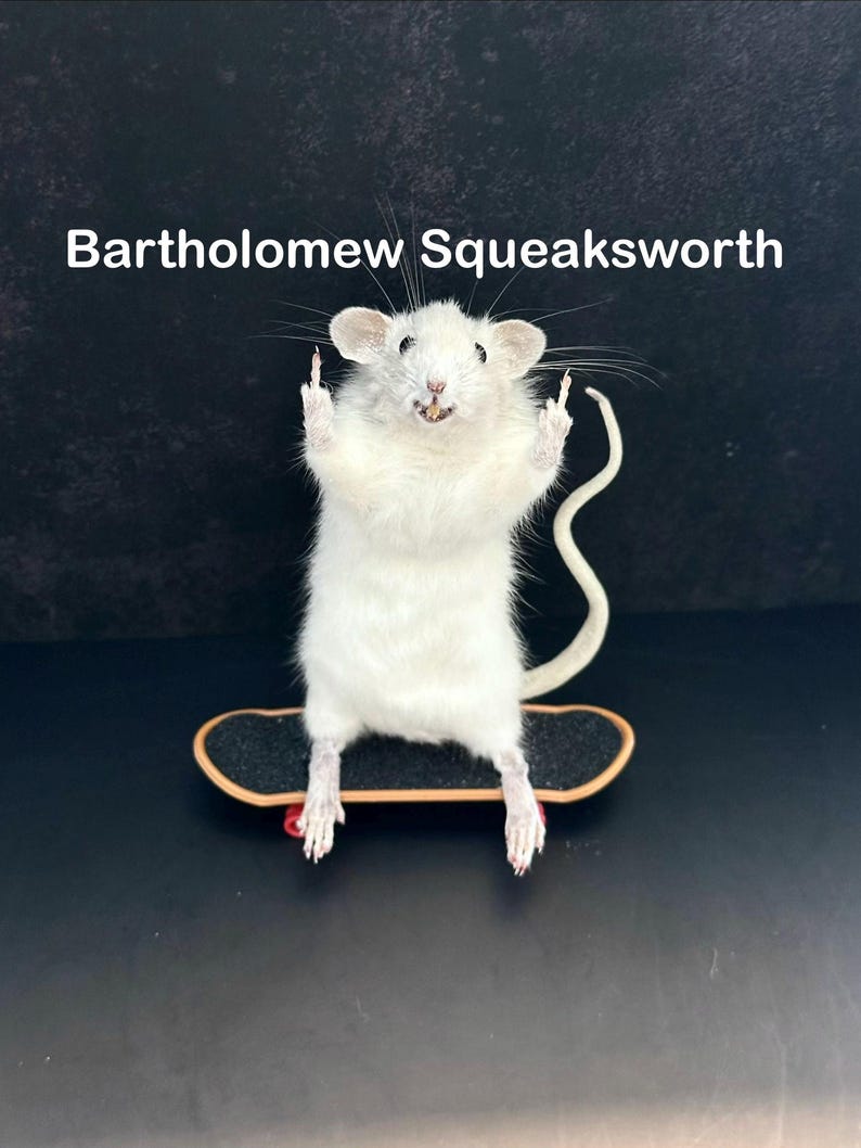 May include: A white rat stands on a miniature skateboard, with its front paws raised and middle fingers extended. The text "Bartholomew Squeaksworth" is above the rat.