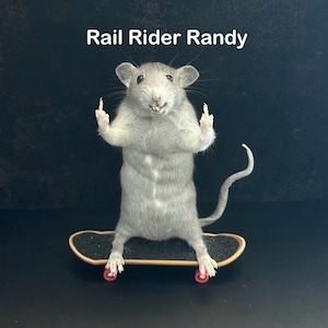 May include: A taxidermied rat stands on a miniature skateboard with red wheels, giving the middle finger with both hands. The text "Rail Rider Randy" is above the rat.