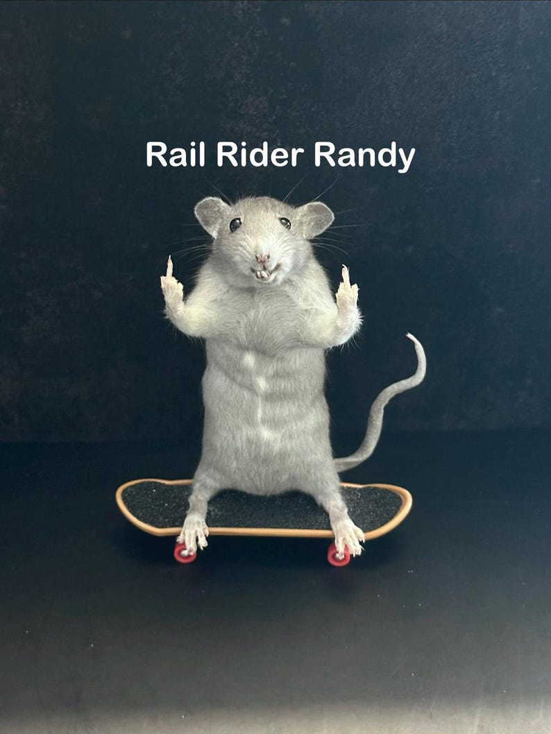 May include: A taxidermied rat stands on a miniature skateboard with red wheels, giving the middle finger with both hands. The text "Rail Rider Randy" is above the rat.