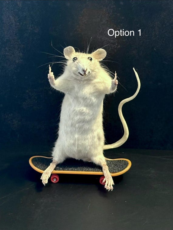 Taxidermy Skateboard Rat – Criminal Rat Oddity – Dark Humor Decor – Gothic Curiosity – Weird Taxidermy Gift – Punk Rat Art