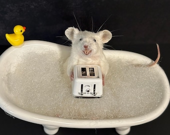 Taxidermy Mouse in Bubble Bath with Toaster | Dark Humor Bathroom Decor | Gothic Oddity Art | Creepy Cute Gift
