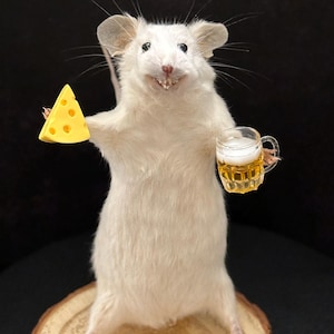 Souris taxidermie ivre avec de la bière - Cadeau drôle et étrange - Art animalier avec humour noir - Objets déco de bizarreries et de curiosités