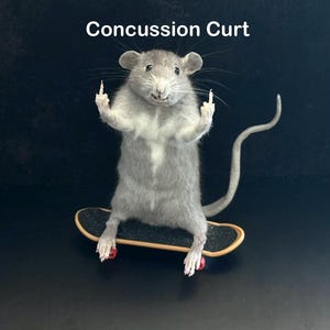 May include: A taxidermied rat on a miniature skateboard, giving the middle finger with both paws. The rat is gray with a white chest, and the skateboard is black with red wheels. Text above reads "Concussion Curt".