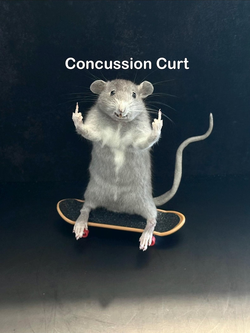 May include: A taxidermied rat on a miniature skateboard, giving the middle finger with both paws. The rat is gray with a white chest, and the skateboard is black with red wheels. Text above reads "Concussion Curt".
