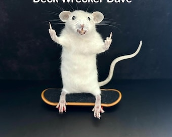 Taxidermy Skateboard Rat – Criminal Rat Oddity – Dark Humor Decor – Gothic Curiosity – Weird Taxidermy Gift – Punk Rat Art