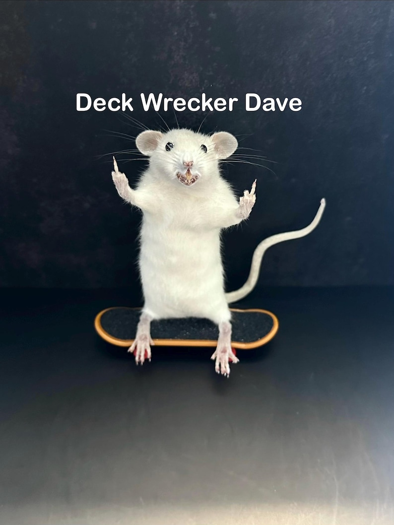 May include: A white rat stands on a miniature skateboard, with its front paws raised. The rat has pink feet and a long tail. The text "Deck Wrecker Dave" is above the rat.