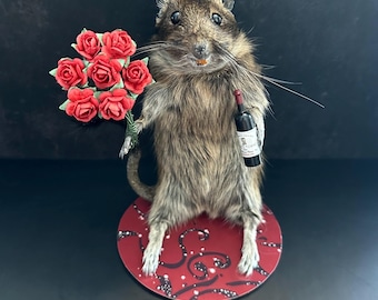 May include: A taxidermied rodent figure holding a bouquet of red roses and a small wine bottle. The figure is positioned on a red circular base with a black and white design. The rodent has brown fur and a long tail.