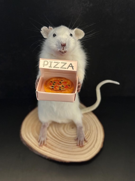 A real taxidermied rat posed mid-pizza-delivery — one-of-a-kind handmade absurdist art that is genuinely impossible to unsee.