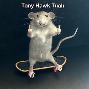 May include: A gray mouse stands on a miniature skateboard with red wheels, giving the middle finger with both paws. The text "Tony Hawk Tuah" is above the mouse.