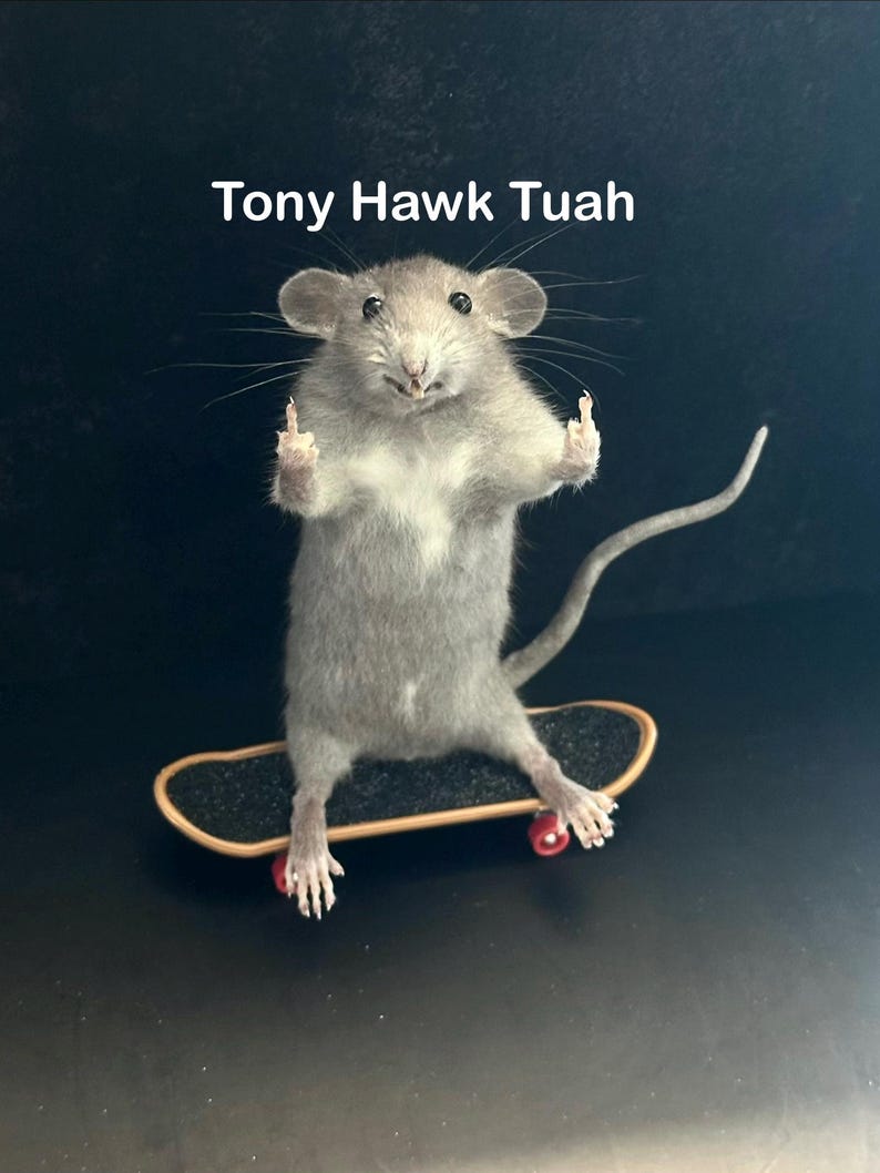 May include: A gray mouse stands on a miniature skateboard with red wheels, giving the middle finger with both paws. The text "Tony Hawk Tuah" is above the mouse.