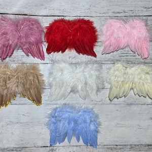May include: Set of 7 pairs of angel wings in various colors, including pink, red, white, beige, and blue. The wings are made of feathers and have a delicate, ethereal look.