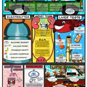 May include: An educational infographic titled Common Labs Explained, featuring cartoon illustrations of blood cells in a green bus, electrolytes in a blue bottle, kidney and liver tests, a thyroid panel, hemoglobin A1C, and a lipid panel with text.
