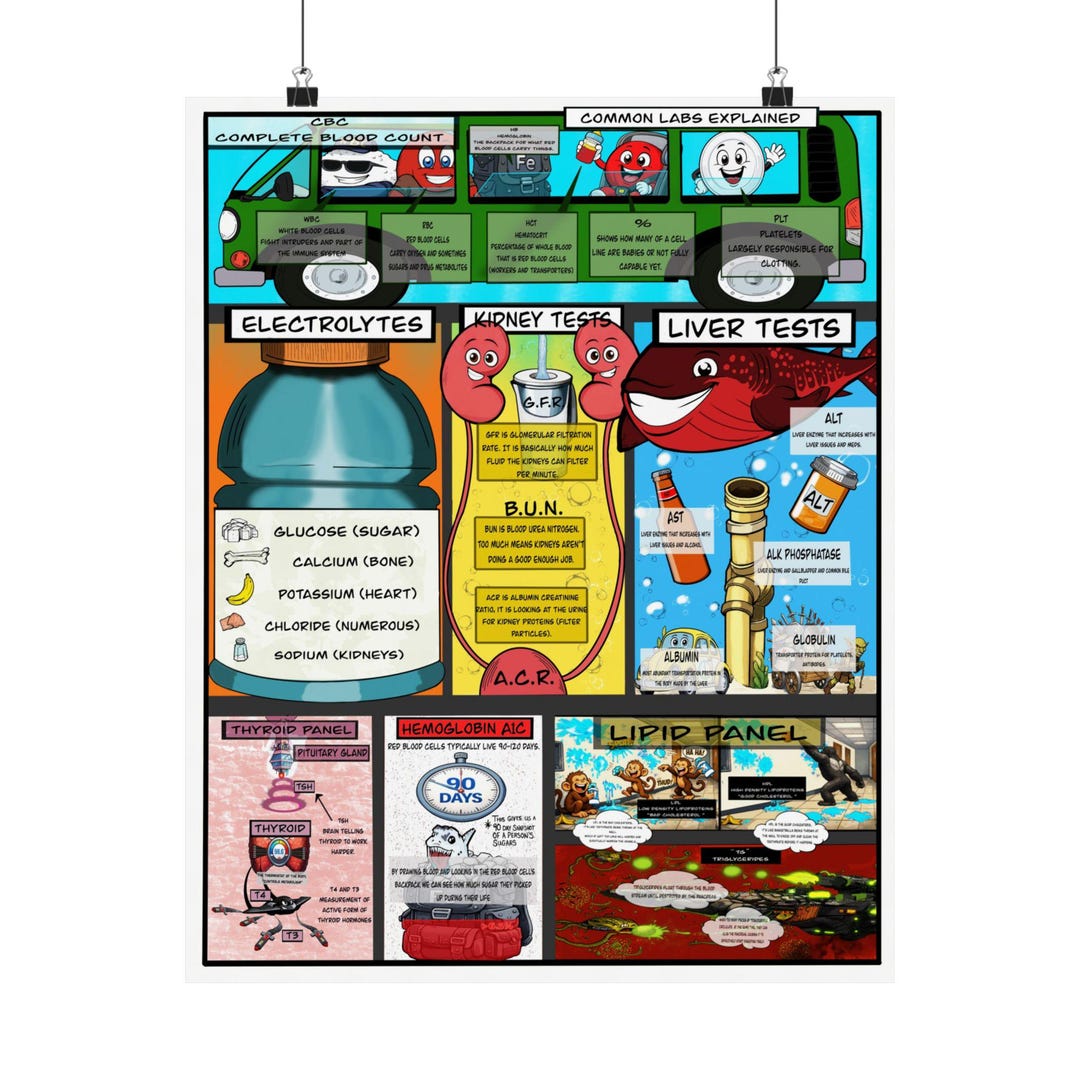 Common Lab Values Poster for Patient Education in Clinics and Hospitals ...