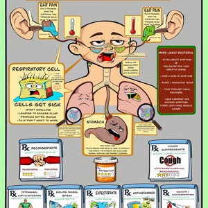 May include: An educational infographic titled Upper Respiratory Infections Viral vs. Bacterial, featuring a central human figure with anatomical illustrations of ears, lungs, and stomach, alongside text boxes detailing symptoms and various medication types.